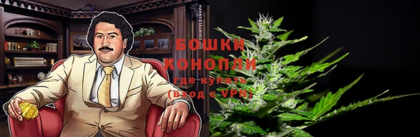 PSILOCYBIN Верхнеуральск